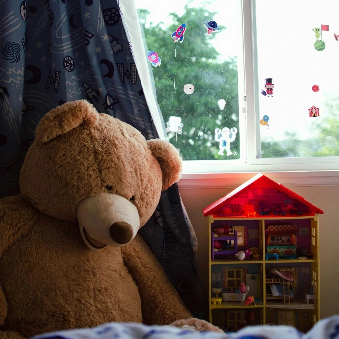 ergotherapeute chambery ergotherapie